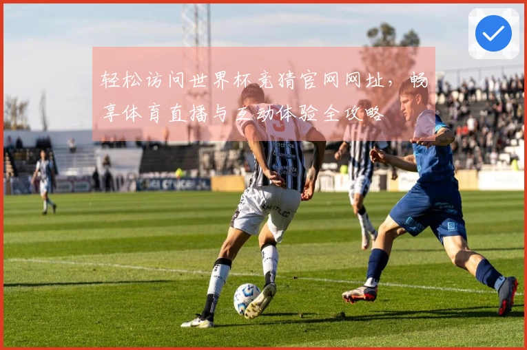 轻松访问世界杯竞猜官网网址，畅享体育直播与互动体验全攻略