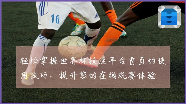 轻松掌握世界杯投注平台首页的使用技巧，提升您的在线观赛体验