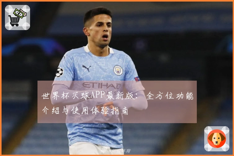 世界杯买球APP最新版：全方位功能介绍与使用体验指南