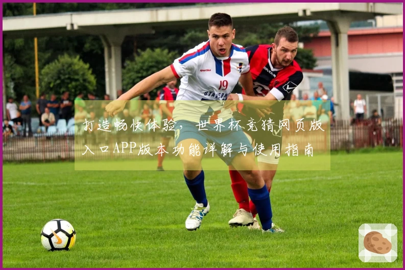 打造畅快体验，世界杯竞猜网页版入口APP版本功能详解与使用指南